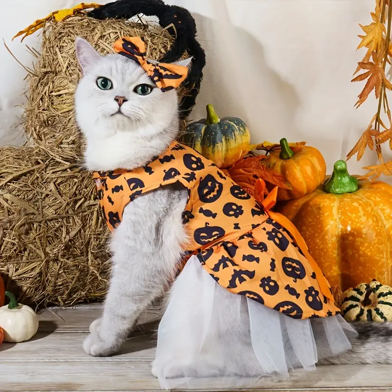 Adorable Halloween Pet Costume with Bow - Pumpkin Witch & Bat Design for Cats, Soft Cotton Knit, Medium Breeds.