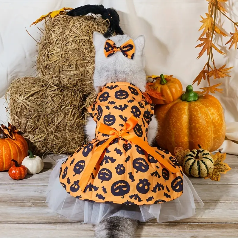Adorable Halloween Pet Costume with Bow - Pumpkin Witch & Bat Design for Cats, Soft Cotton Knit, Medium Breeds.