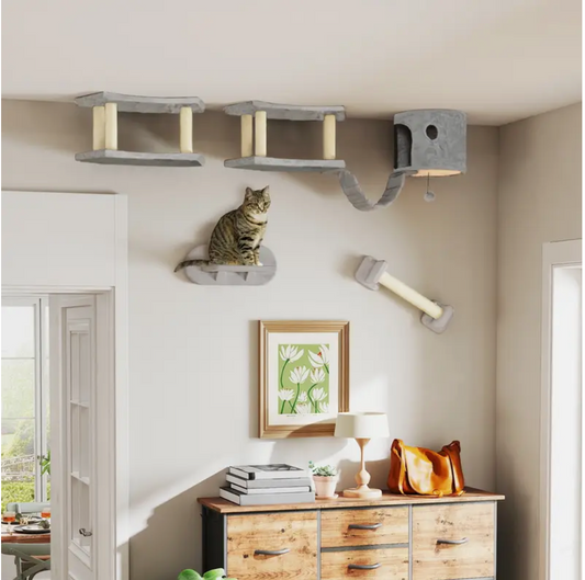 Cat Stand Set